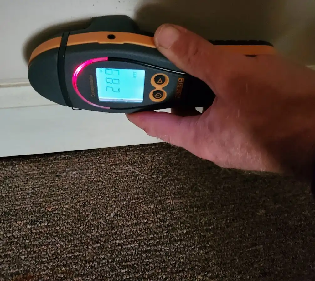 Moisture detection at baseboard during Mold Inspection & Testing in Eagle