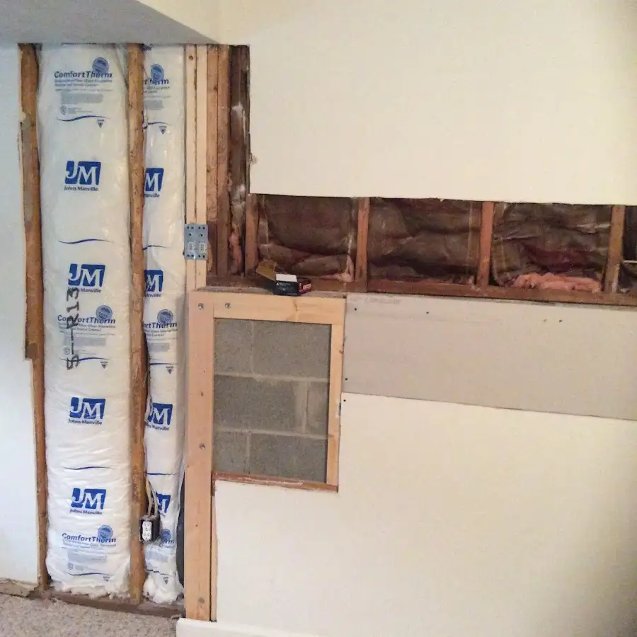 Wall insulation replacement during Odor Removal & Deodorization in Eagle